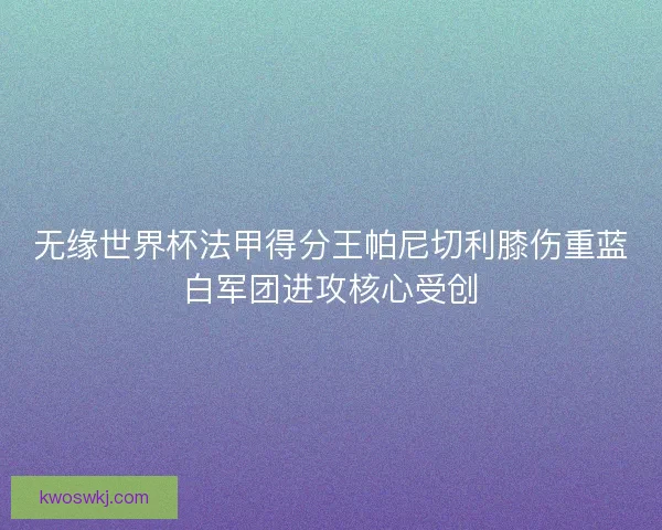 无缘世界杯法甲得分王帕尼切利膝伤重蓝白军团进攻核心受创