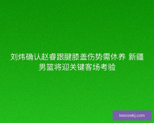 刘炜确认赵睿跟腱膝盖伤势需休养 新疆男篮将迎关键客场考验
