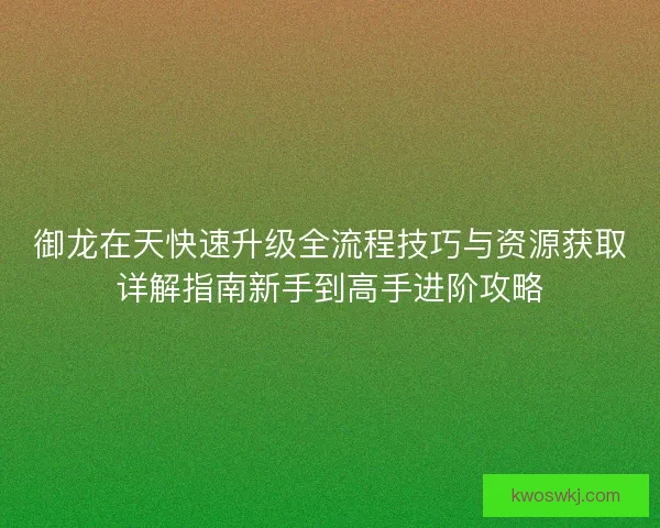 御龙在天快速升级全流程技巧与资源获取详解指南新手到高手进阶攻略